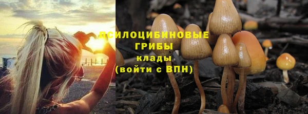 кристаллы Белокуриха