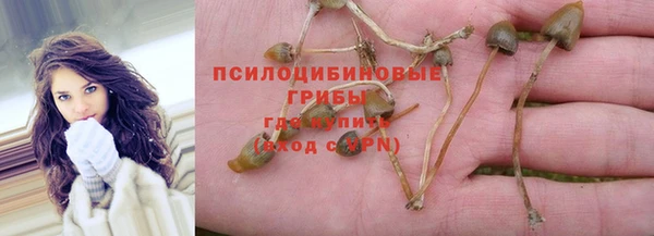 таблы Белоозёрский